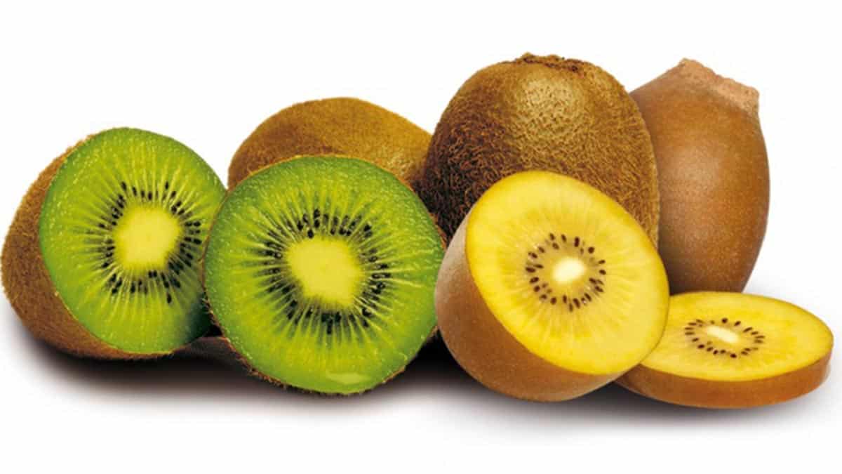 kiwi bienfaits