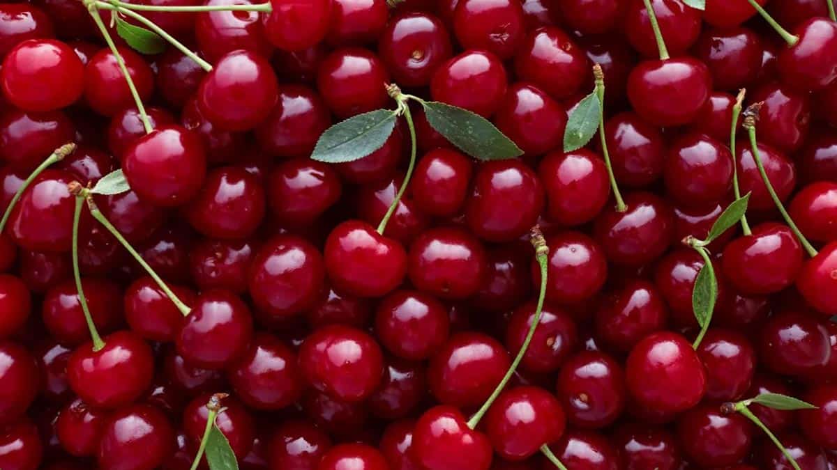 manger Cerises