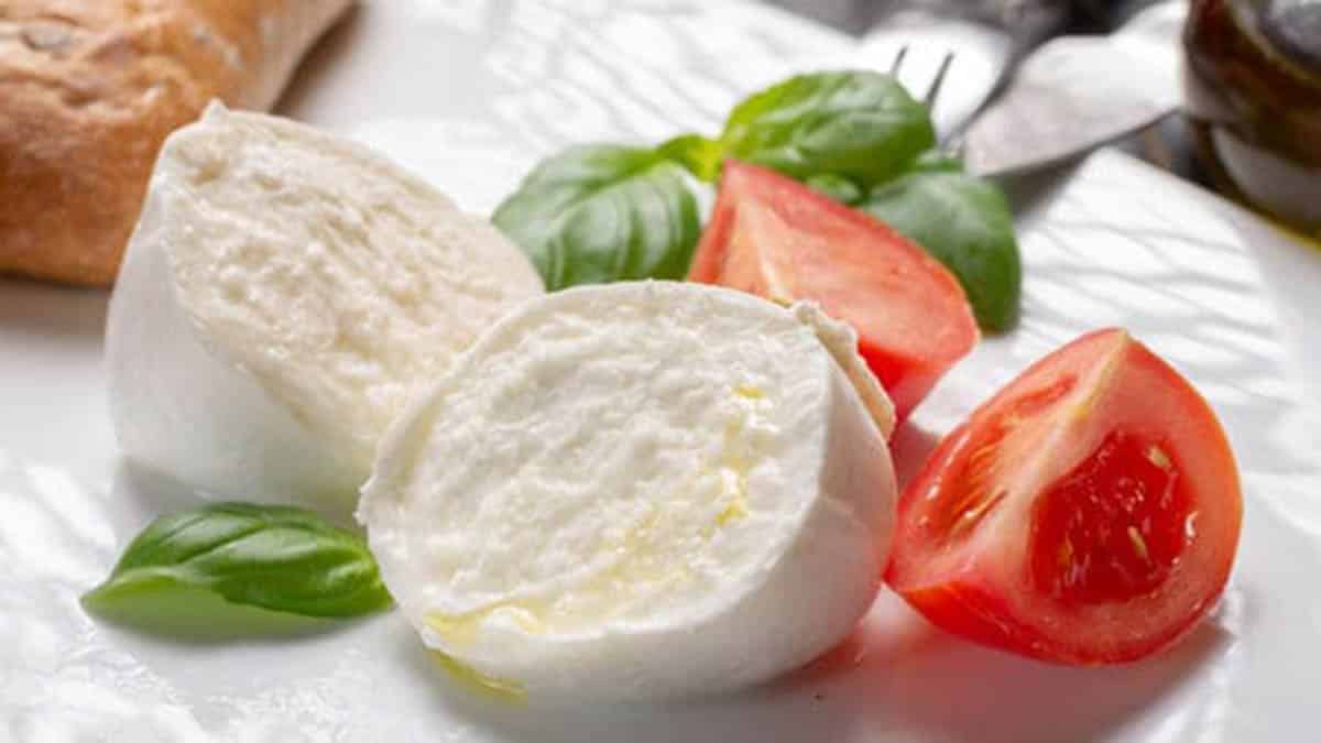 mozzarella di bufala fior di latte